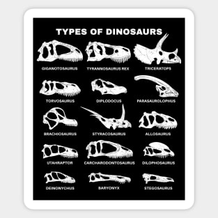 Types of Dinosaurs Table for Kids Sticker